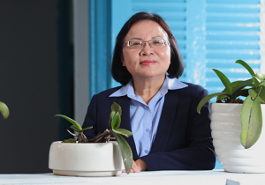 Doanh nhân, Anh hùng lao động thời kỳ đổi mới Nguyễn Thị Hoa Lệ: Du Lịch Hòa Bình Việt Nam 