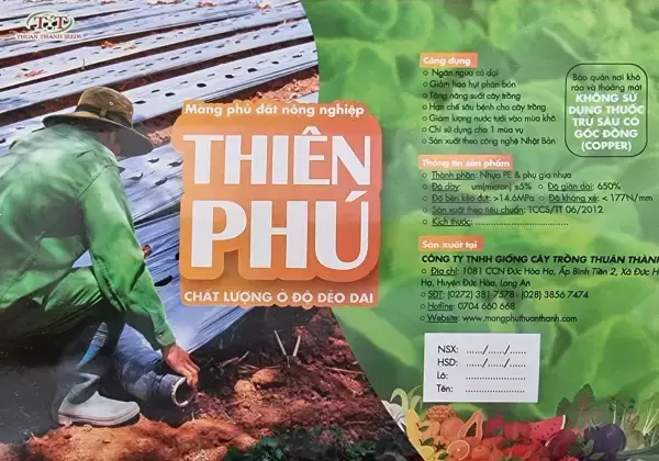 Công ty Giống Cây Trồng Thuận Thành: Giá trị mang lại cho khách hàng