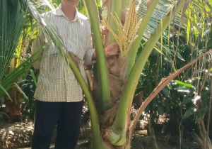 Cây giống Thanh Phong- ươm mầm hoa trái thơm lành cho bà con gần xa