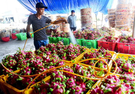 Xuất khẩu đi châu Âu gặp khó vì thiếu chứng nhận an toàn thực phẩm