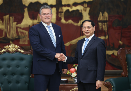 Phó Thủ tướng Bùi Thanh Sơn tiếp Cao uỷ Thương mại và An ninh kinh tế Liên minh châu Âu