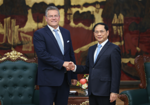 Phó Thủ tướng Bùi Thanh Sơn tiếp Cao uỷ Thương mại và An ninh kinh tế Liên minh châu Âu